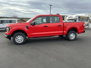 2023 Ford F-150 Special Service Vehicle